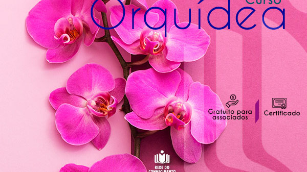 Quer aprender a cultivar orquídeas? A Rede do Conhecimento te ensina!