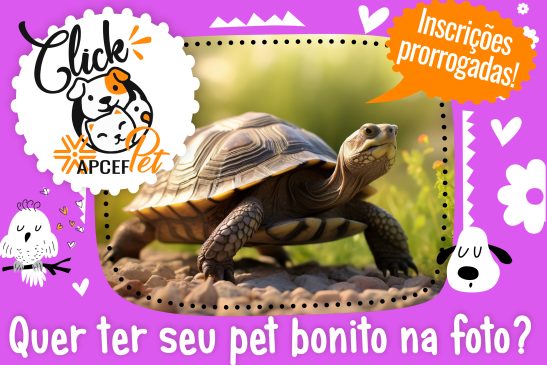 Ação Click ApcefPet é prorrogada. Envie a foto do seu pet e ganhe um brinde