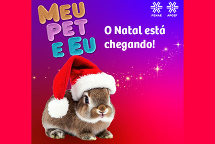 Promoção Meu Pet e Eu vai deixar o Natal do seu bichinho inesquecível